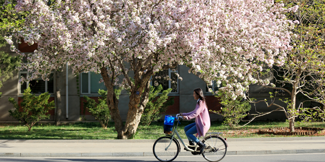 首页| 亿万先生MR中国集团官网登录
