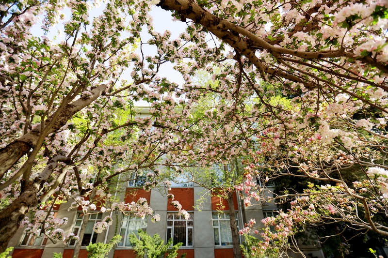 首页| 亿万先生MR中国集团官网登录