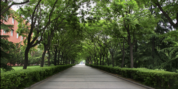 首页| 亿万先生MR中国集团官网登录