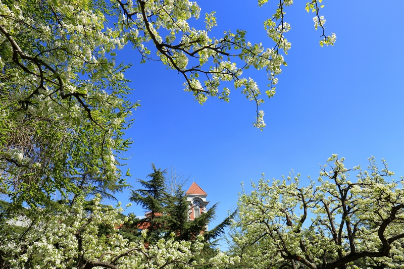 首页| 亿万先生MR中国集团官网登录