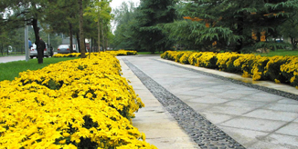 首页| 亿万先生MR中国集团官网登录