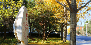 首页| 亿万先生MR中国集团官网登录