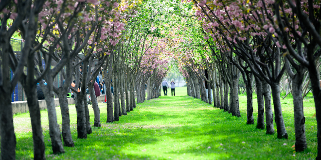 首页| 亿万先生MR中国集团官网登录