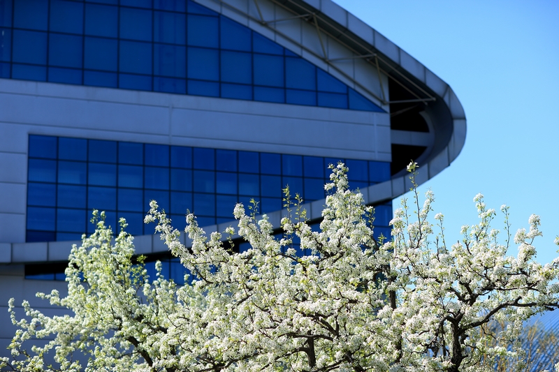 首页| 亿万先生MR中国集团官网登录