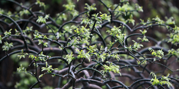 首页| 亿万先生MR中国集团官网登录