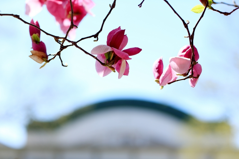 首页| 亿万先生MR中国集团官网登录