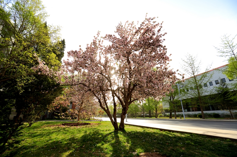 首页| 亿万先生MR中国集团官网登录