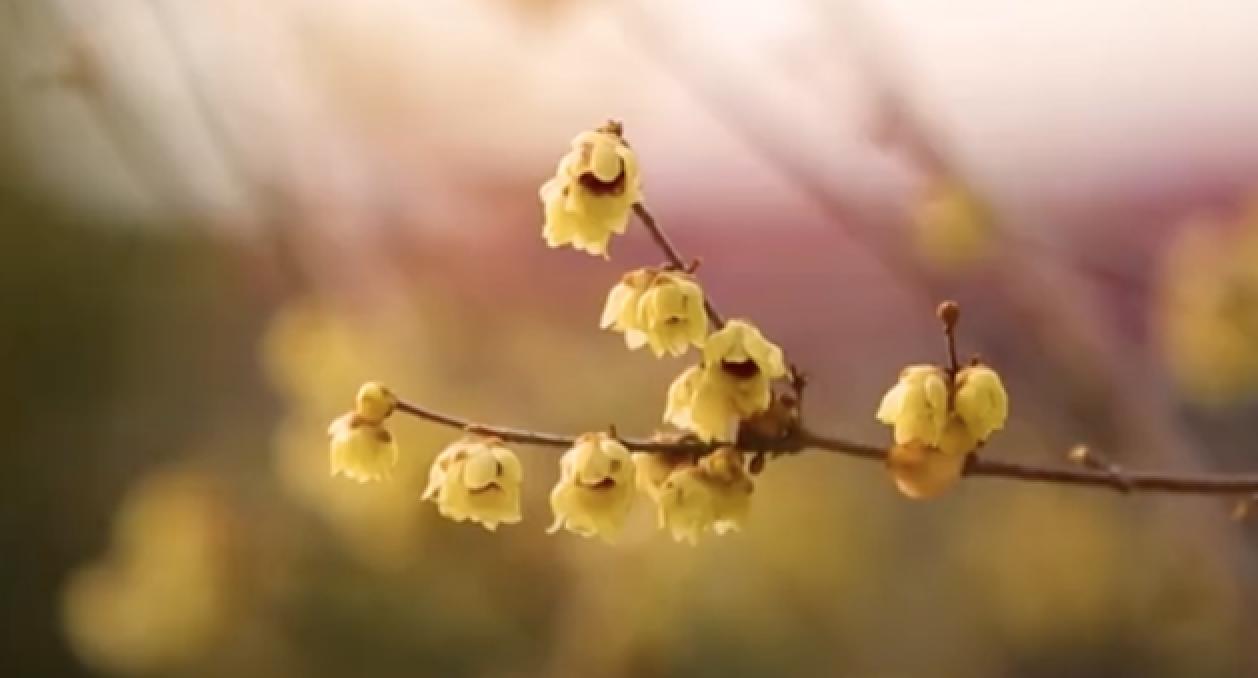 首页| 亿万先生MR中国集团官网登录