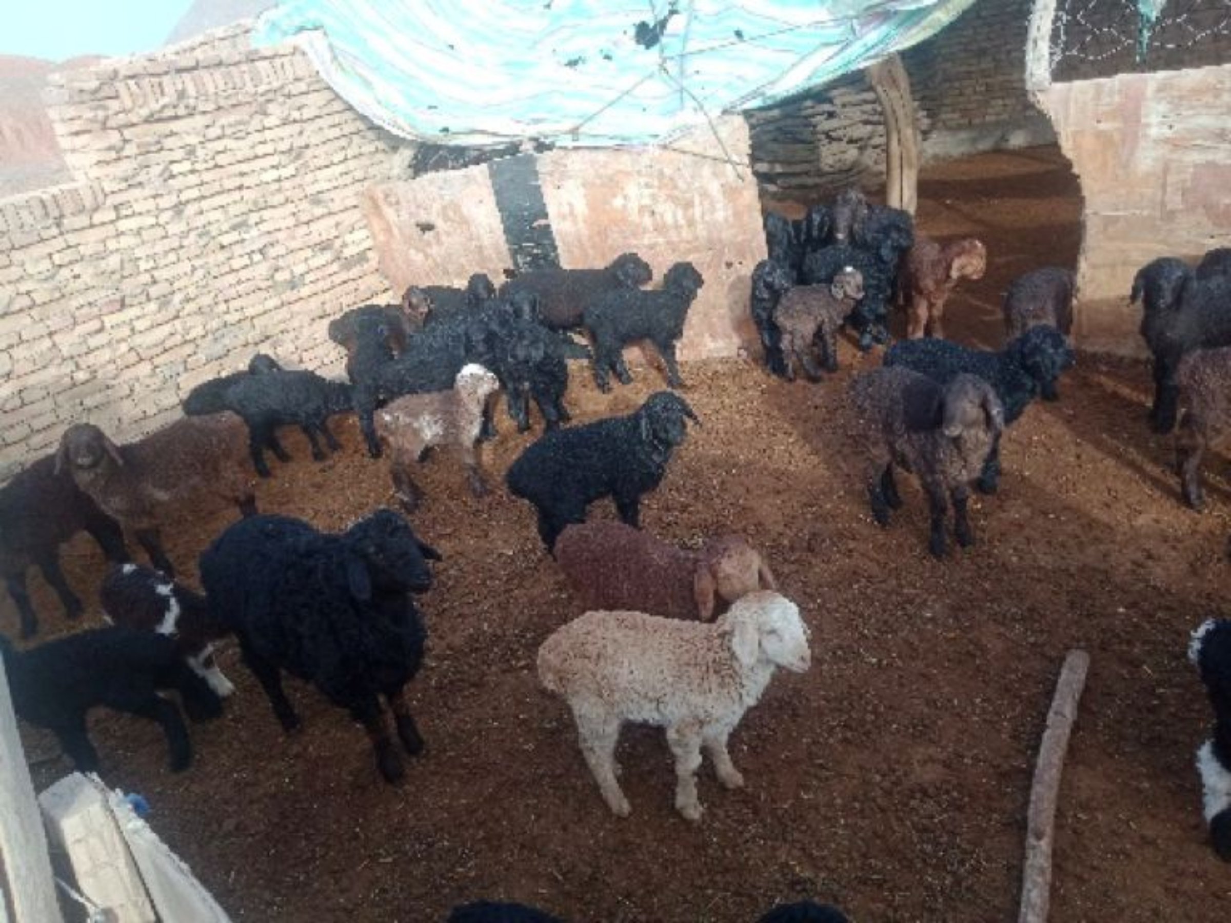 首页| 亿万先生MR中国集团官网登录