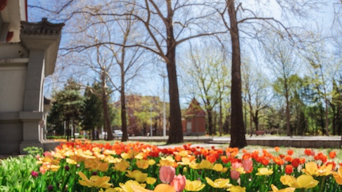 首页| 亿万先生MR中国集团官网登录