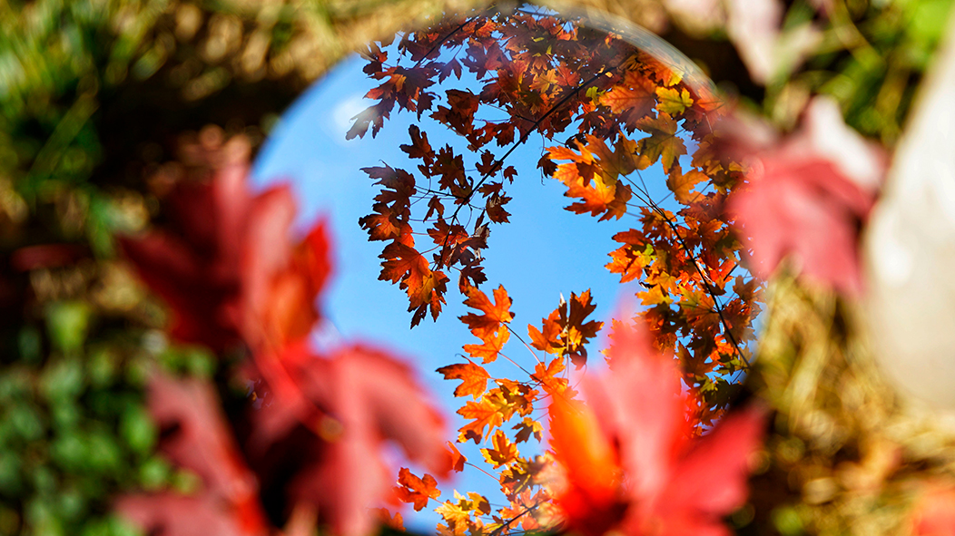首页| 亿万先生MR中国集团官网登录