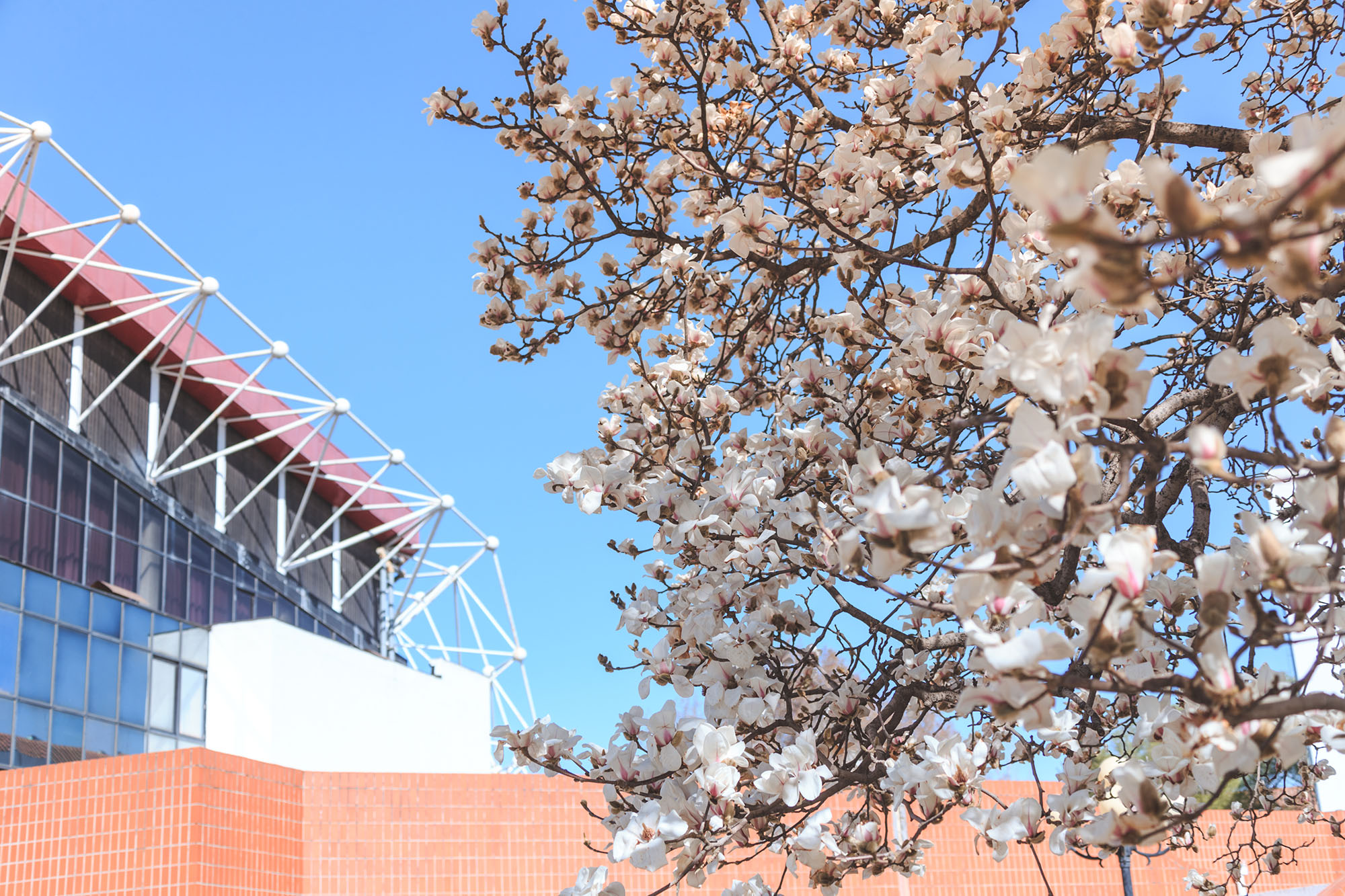 首页| 亿万先生MR中国集团官网登录