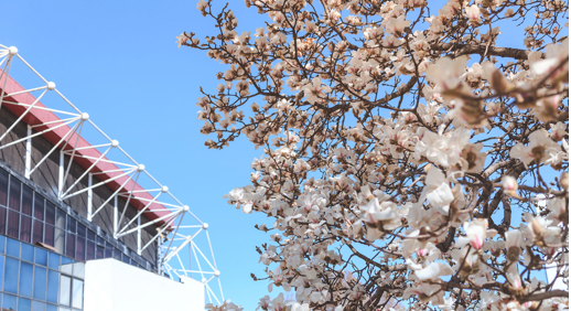 首页| 亿万先生MR中国集团官网登录