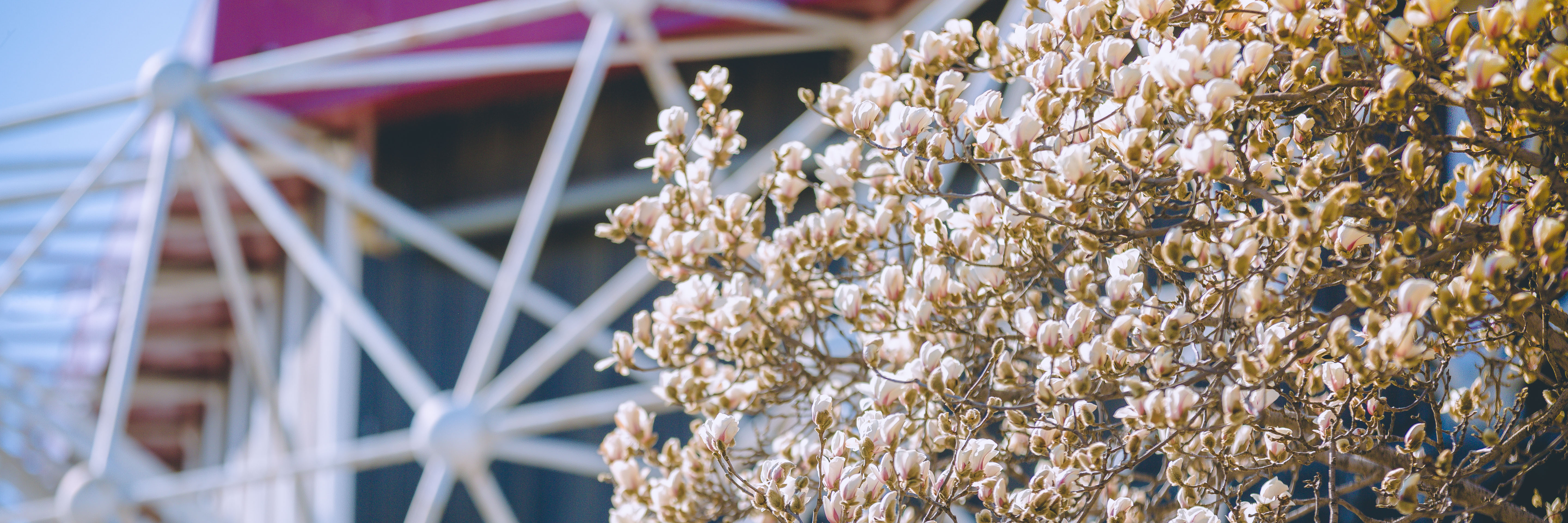 3ce0352da8a24717bae348f75f3b0ea7