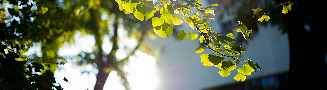 首页| 亿万先生MR中国集团官网登录